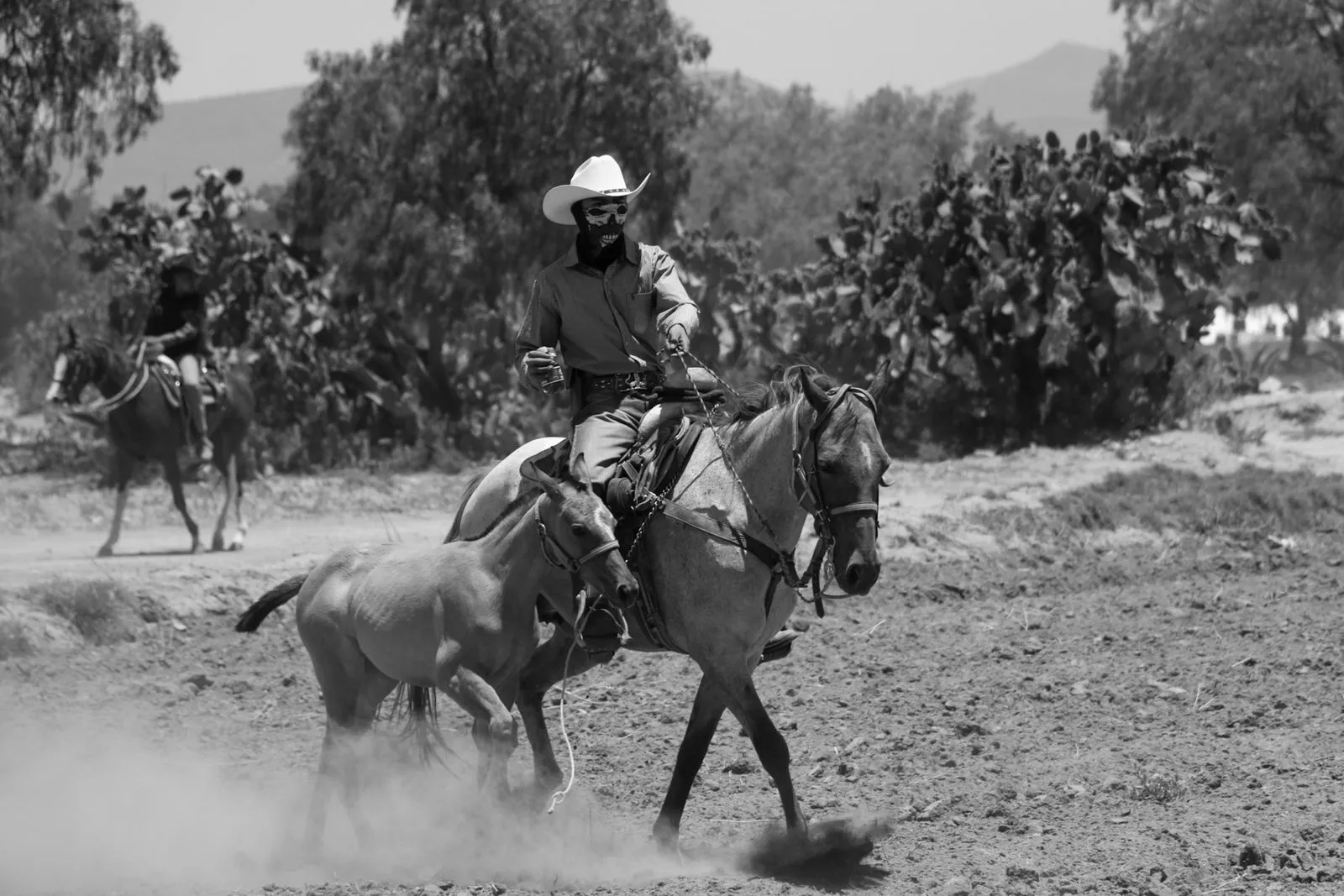 How to Return to Horse Riding After a Break